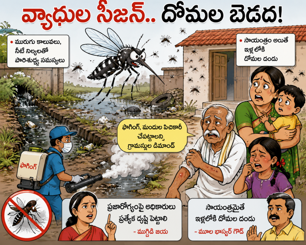 వ్యాధుల సీజన్‌.. దోమల బెడద!